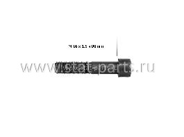 15013 БОЛТ КРЕПЛЕНИЯ НАПРАВЛЯЮЩЕЙ M16X1,5 L=80MM