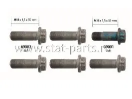 606097 КОМПЛЕКТ БОЛТОВ КРЕПЛЕНИЯ СУППОРТА M18x1,5x55 mm